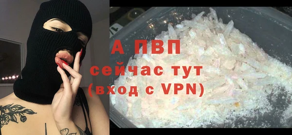 гидра Балахна