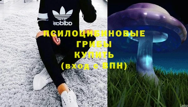 СК Баксан