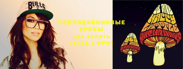 гидра Балахна