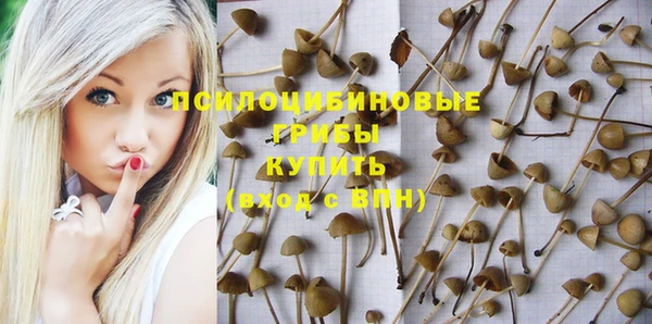 СК Баксан