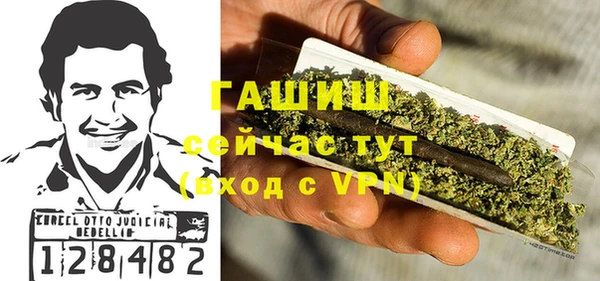 гидра Балахна