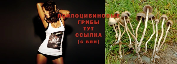 гидра Балахна